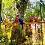 Apartamentos Nadai 301